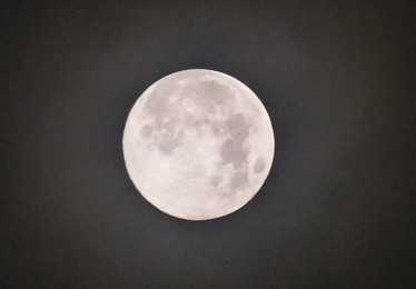 Image 946898882