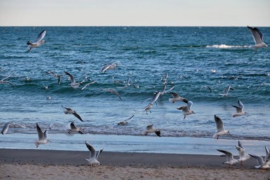 Image 947475907