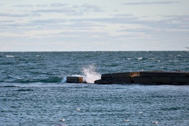 Image 947475957
