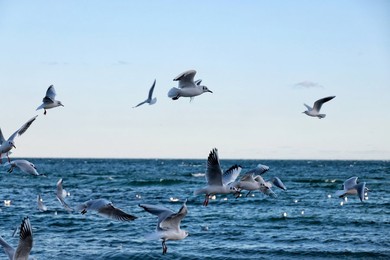 Image 947476084