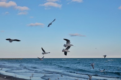 Image 947476108