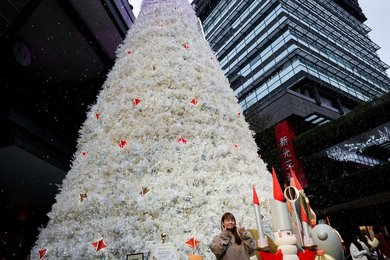 Image 950050089