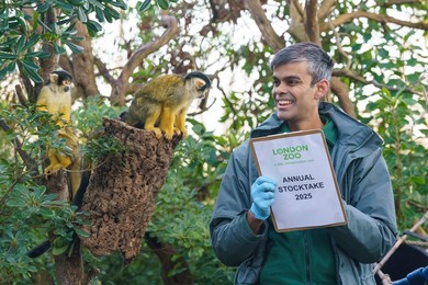 London Zoo Annual Stocktake