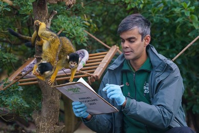 London Zoo Annual Stocktake