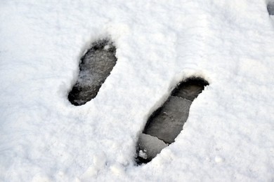 Image 952558814