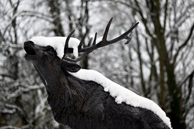 Image 952583062