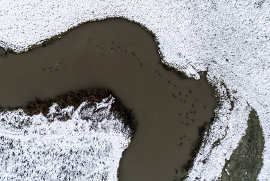Image 952601887