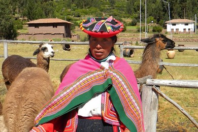 Woman with lamas. Cusco. Peru