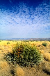 Nature. Landscape In Southern Namibia