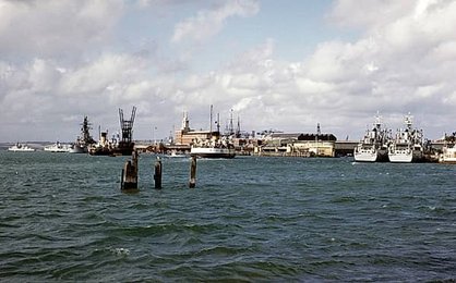 Image 958202508