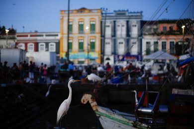 Image 960824435