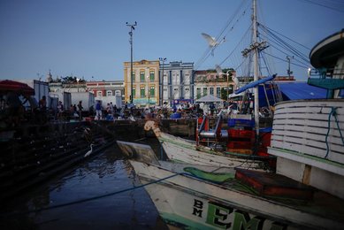 Image 960824439