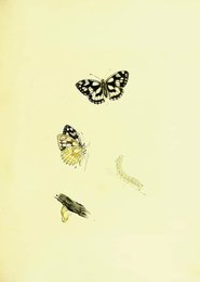 Image 961380412
