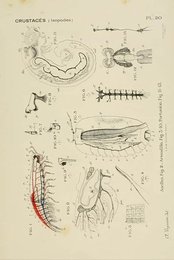 Image 961381550