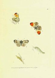 Image 961381780