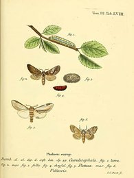 Image 961383622