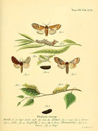 Image 961384062