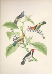 Image 961385878