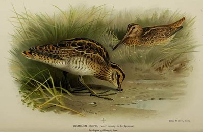 Image 961386864