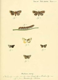 Image 961392361