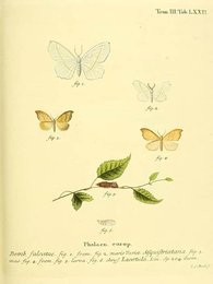 Image 961392632
