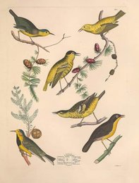 Image 961396676