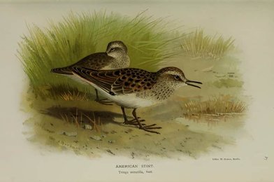 Image 961399608