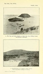 Image 961400605