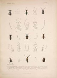 Image 961401285
