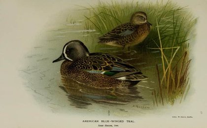 Image 961401828