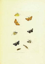 Image 961402091
