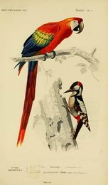 Image 961404162
