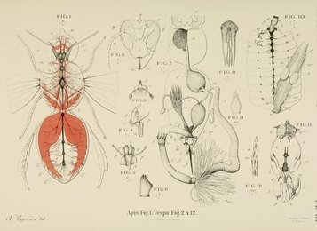 Image 961405088