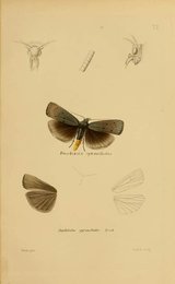 Image 961406474