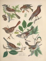 Image 961406569