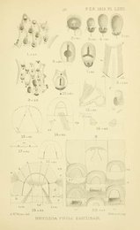Image 961406683