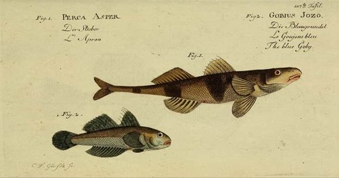 Image 961407216