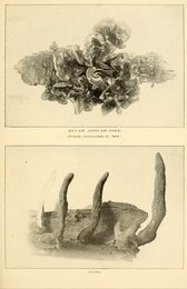 Image 961407325