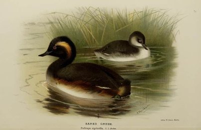 Image 961409207