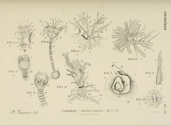 Image 961409464