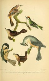 Image 961412546