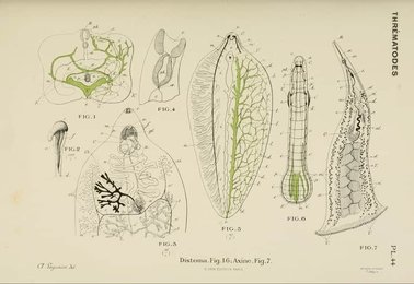 Image 961413334