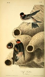 Image 961415757