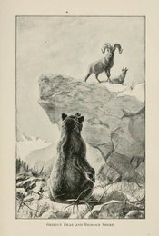 Image 961417844