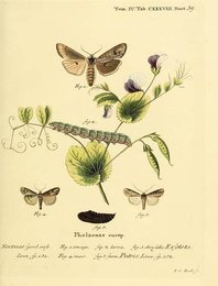 Image 961419810