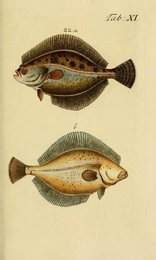 Image 961420410