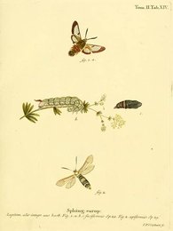 Image 961421585