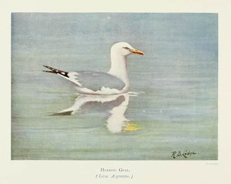 Image 961422494