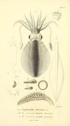 Image 961424629