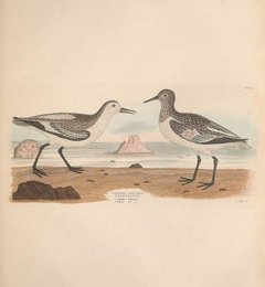 Image 961425894